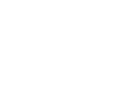 First Solar First Solar logo in white