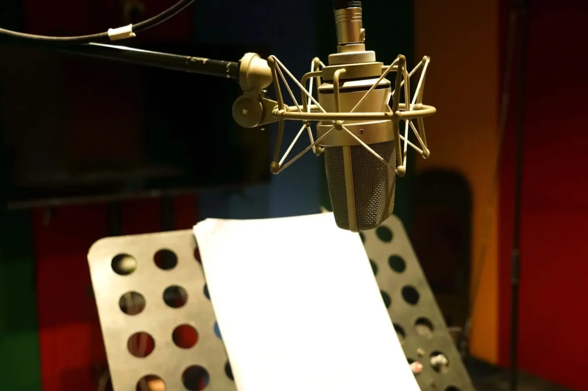 Voice over artist set-up
